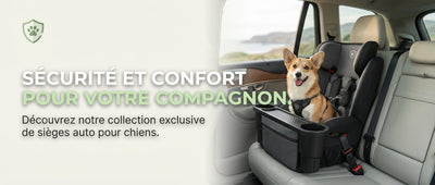 Siege Auto Chien : Le Guide Complet pour Voyager en Toute Sécurité avec Votre Animal