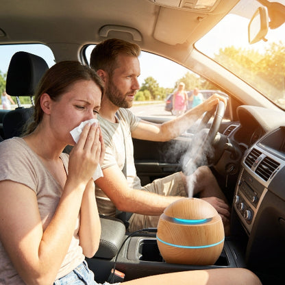 Humidificateur_voiture_pour_tout_saison