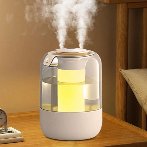 Présentation du modèle Humidificateur d air portable