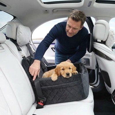 Protection siege auto chien tapis de siège amovible lavable