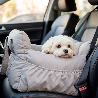 Siege auto chien voiture avec ceinture de sécurité 