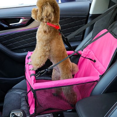 Siège auto chien