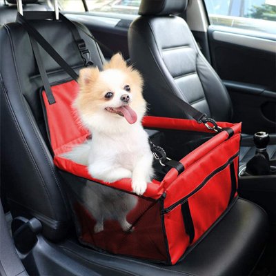 Siège auto chien
