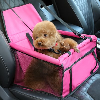 Siège auto chien
