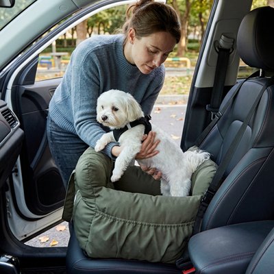 Siège auto pour chien antidérapant pour petits chiens