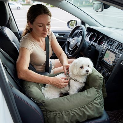 Siège auto pour chien avec ceinture de sécurité 