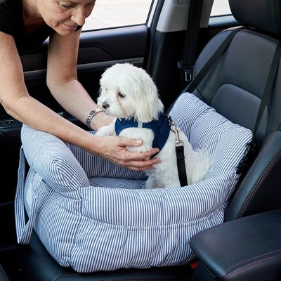 Siège auto pour chien sangles sécurisées pour voiture sûre