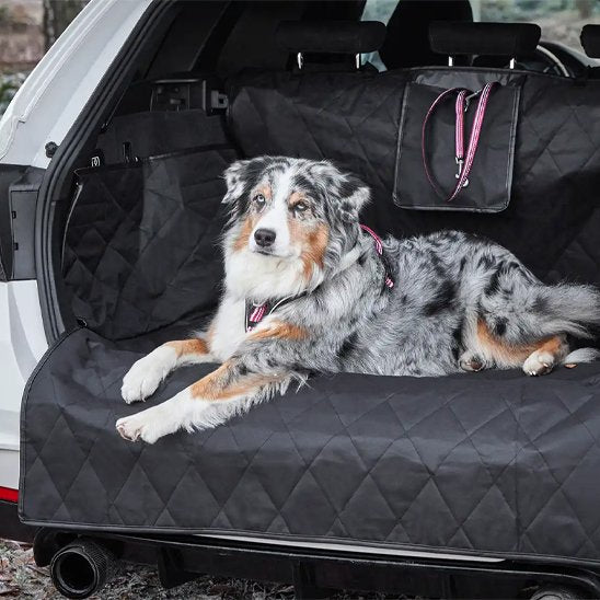 tapis de coffre voiture  voiture antidérapant