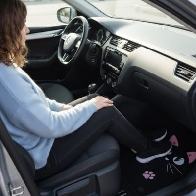 Tapis de voiture noir